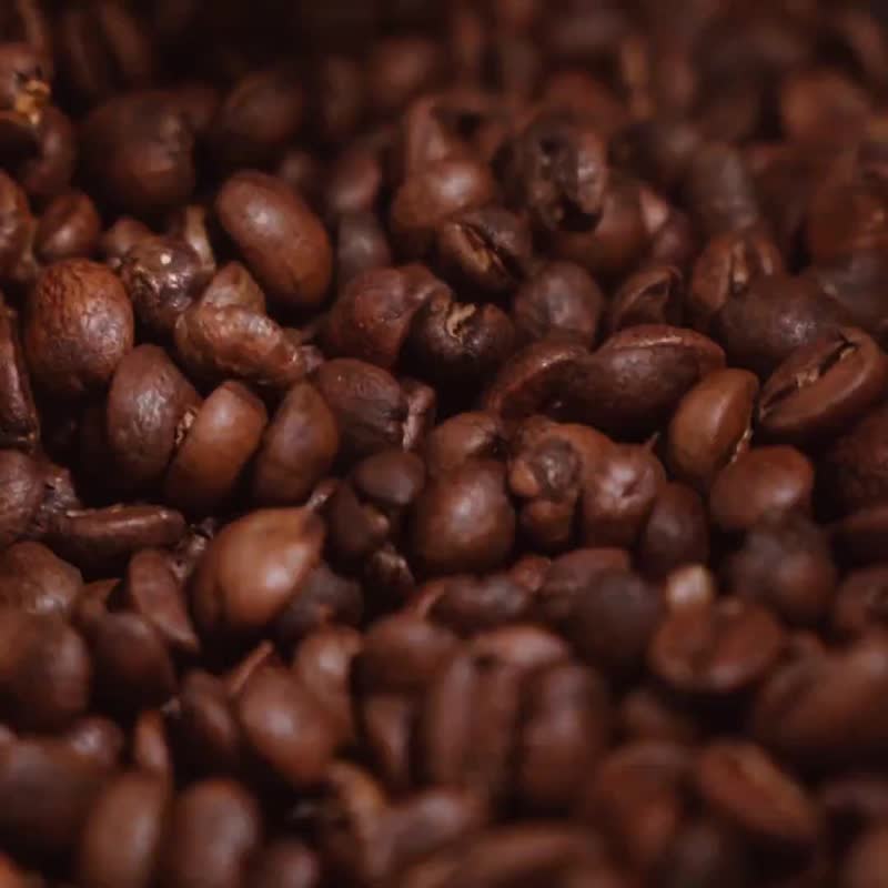 乐步埃塞俄比亚班奇马吉吉日晒原生艺伎滤挂 - 咖啡 - 新鲜食材 