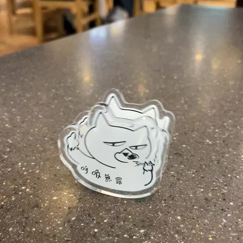 痴呆猫文件夹大召集 - 文件夹/资料夹 - 压克力 