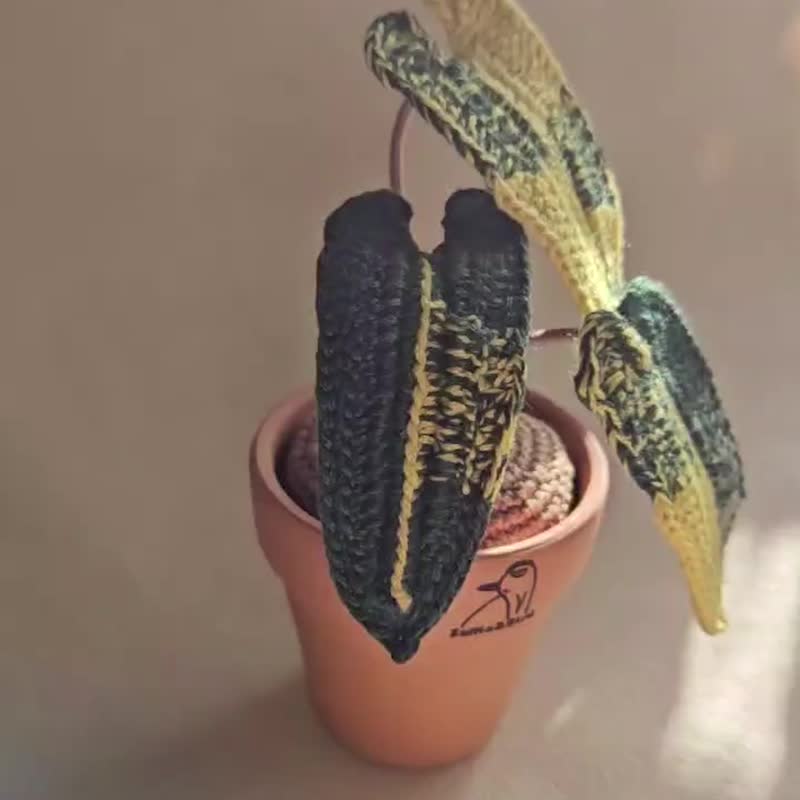 斑叶橘梗绿曼绒-手作编织植物 - 植栽/盆栽 - 绣线 黄色