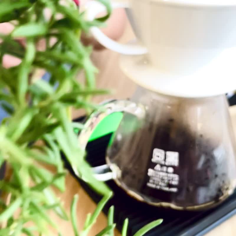 埃塞俄比亚 西达摩 咖啡豆 日晒 225g 酸甜花香 中浅烘焙 Sidamo - 咖啡 - 其他材质 咖啡色