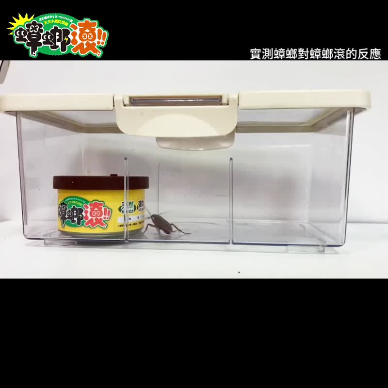 黑蚊滚蟑螂滚果蝇滚 天然木纤防虫罐4入组送香茅挂 - 防蚊用品 - 其他金属 绿色