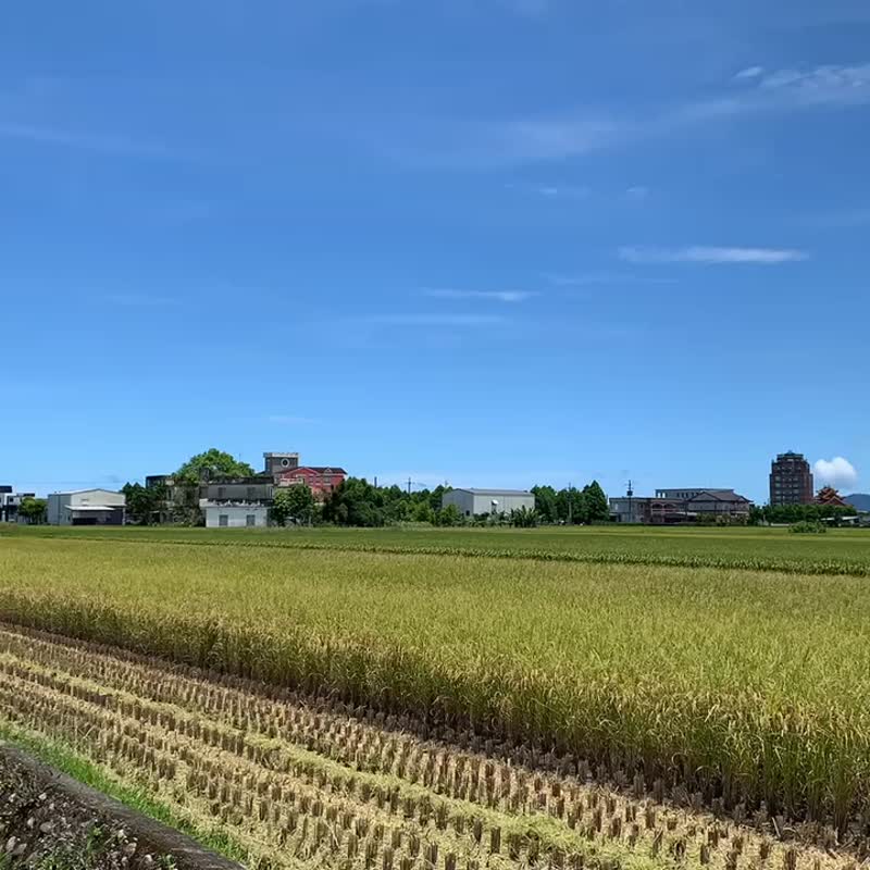 陈家庄米饼原味袋装 - 手工饼干 - 环保材料 黄色
