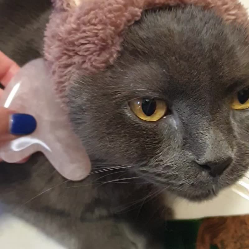 脸部刮痧板玫瑰晶 澳洲JULISA 送丝绒布袋  穴道按摩新春开运 - 脸部按摩/清洁工具 - 宝石 粉红色