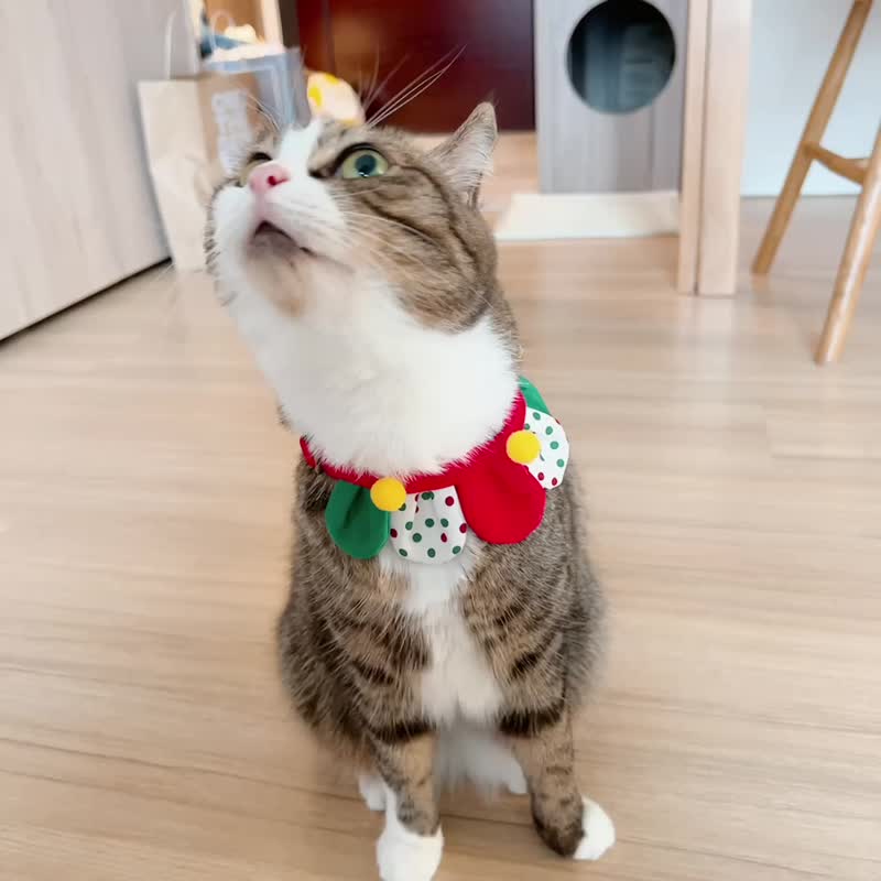 MaoFenBiBi 一起打雪仗 - 花瓣款-  手工项圈 & 圣诞节系列 - 项圈/牵绳 - 棉．麻 