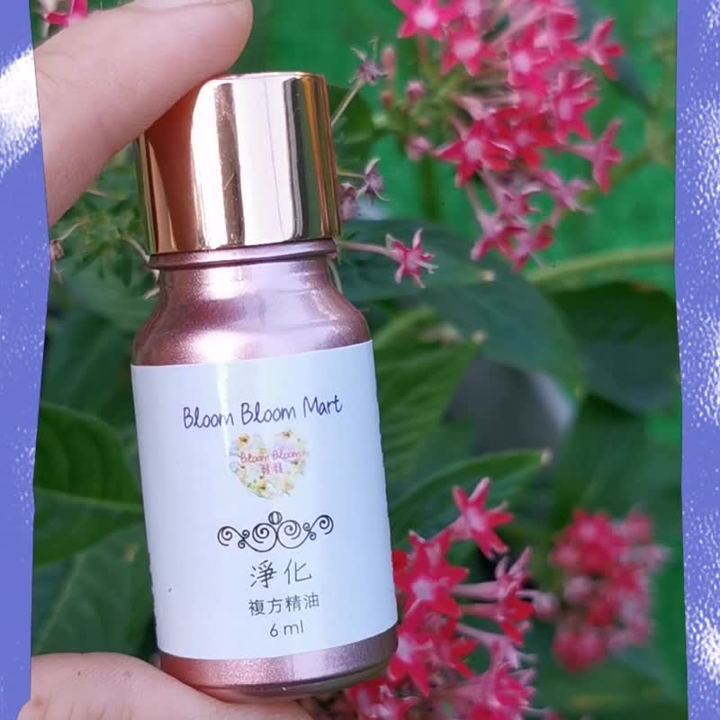 净化复方精油 Purify Essential Oil Blend - 香薰/精油/线香 - 精油 透明