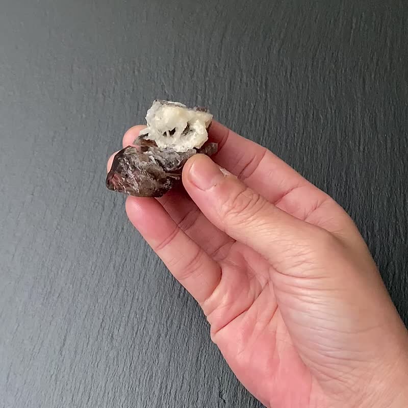 天然原矿鳄鱼骨干共生方解石  除秽聚气 化煞聚财 能量摆件 - 摆饰 - 水晶 多色