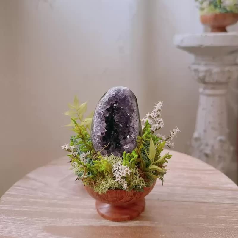紫水晶 晶镇 窝窝 镇宅小晶镇。 微景观永生叶材 绿植栽 - 植栽/盆栽 - 水晶 紫色
