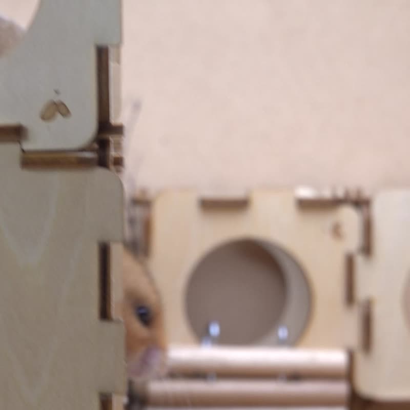 Hamooi手作系列:一箱哈姆_M号 - 其他 - 木头 卡其色