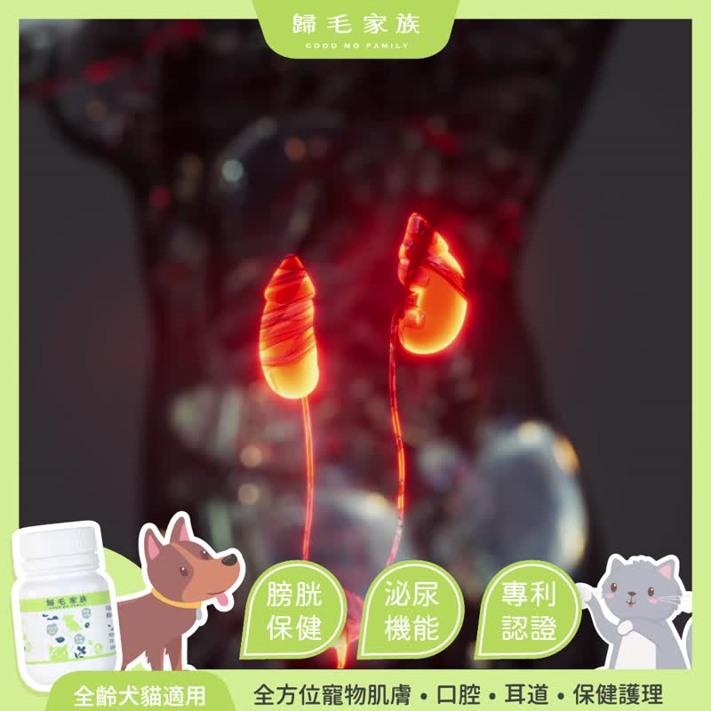 【归毛家族】Good宝系列宠物保健品－泌尿宝 4入组 - 其他 - 其他材质 