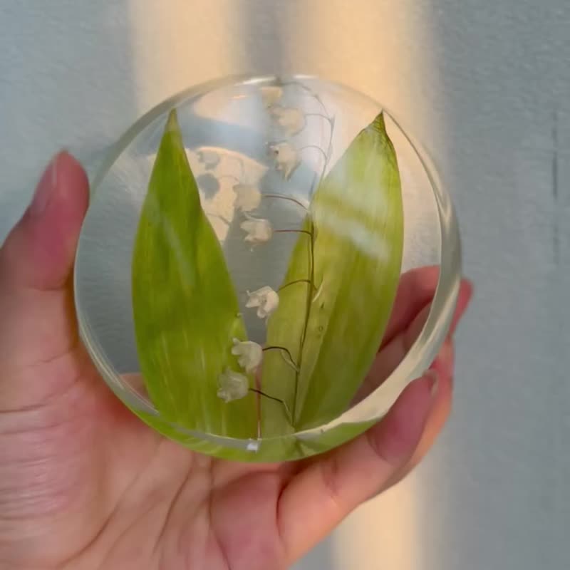 铃兰标本 植物标本礼物 - 摆饰 - 树脂 