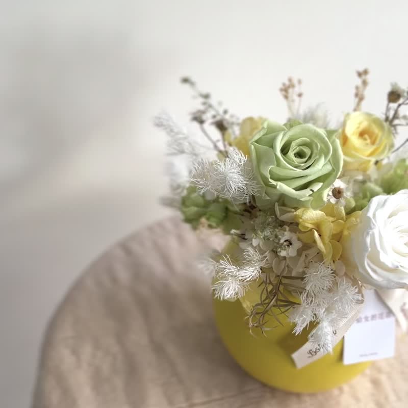 【永生玫瑰花盆花】• 情人节礼物/生日礼物/永生花/永生玫瑰花 - 干燥花/捧花 - 植物．花 黄色