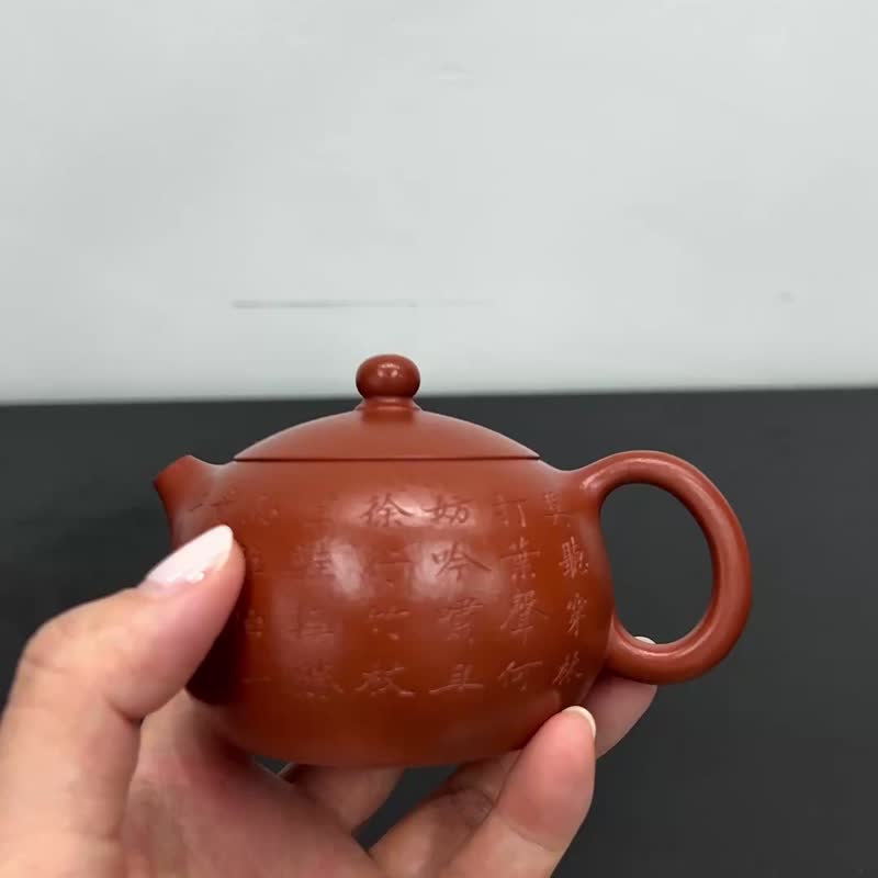 西施乳全手工150cc型体经典30目粗砂朱泥圆润可爱 - 茶具/茶杯 - 陶 咖啡色
