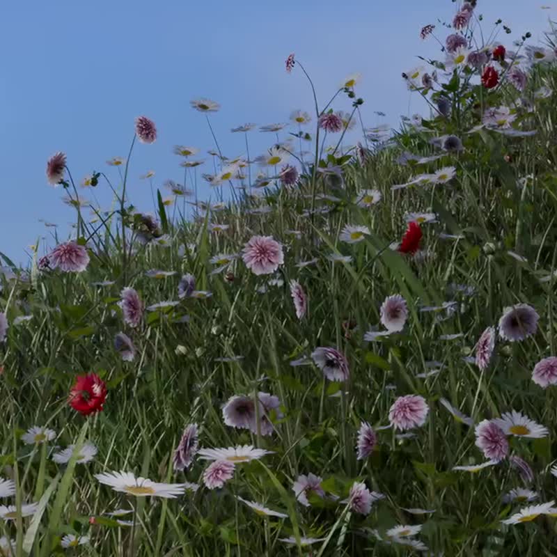 OVERDIGIX丽莎和卡斯柏 iPhone17~15 Pure磁吸版晶透抗黄防摔壳 - 手机壳/手机套 - 塑料 