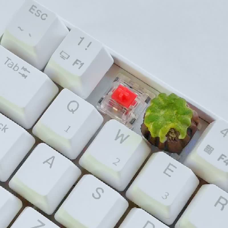 Kanure Keycap (Coffee) for mechanical Cherry mx switches - 电脑配件 - 粘土 咖啡色